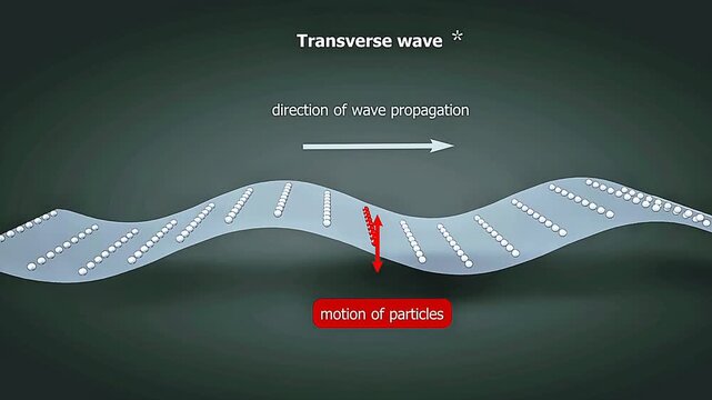 Transverse wave