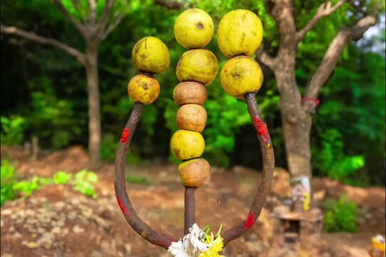 Sri Nagamman Koil & Snake amman god temple & Snake god temple, state highway 121, Kelambakkam - Vandalur Road, Rathinamangalam, Vengambakkam, chennai, Tamil Nadu-600048. famous temple in tamilnadu.