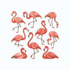 Set of pink flamingo silhouettes standing in nature
