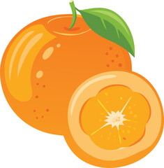 Ripe Clementine Fruit Vector Illustration: One Whole and One Cross-Section Slice, Highlighting Juice and Internal Structure