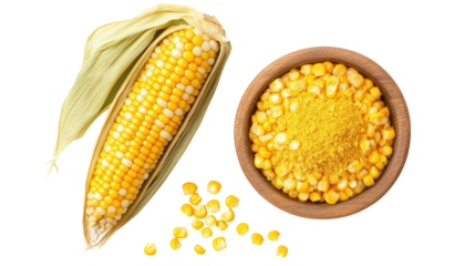 Fresh corn cob and kernels isolated on transparent background