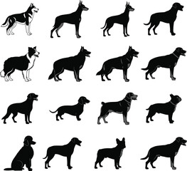 Detailed vector silhouettes and outlines of diverse dog breeds showcasing various poses, body shapes, and styles for pet, animal, and design projects