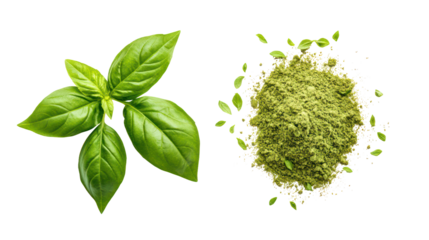 Fresh basil leaves and dried basil flakes isolated on transparent background
