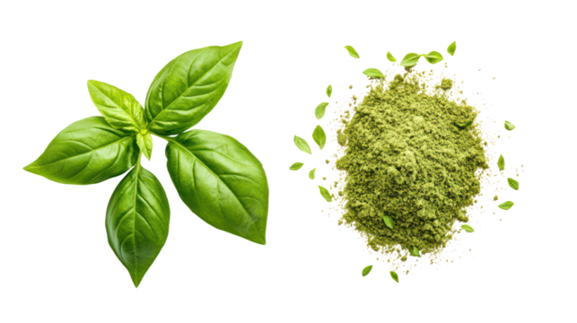 Fresh basil leaves and dried basil flakes isolated on transparent background