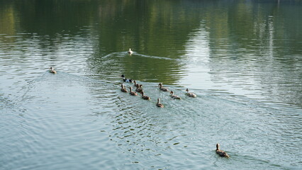 The classical Chinese garden buildings view on the south of the China