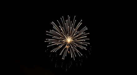 Fototapeta premium Radiant Golden Firework Explosion Illuminating the Dark Night Sky with a Dazzling Starburst of Sparks, Symbolizing Celebration and Festive Joy.