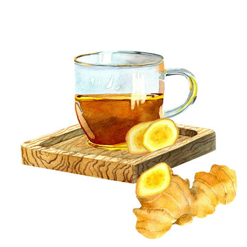 Watercolor hand drawn hot black tea with ginger root in glass cup on wooden tray. Illustration of hot herbal drink, ginger in slice, and cut root isolated. Composition for offers, decor, menu, recipe.