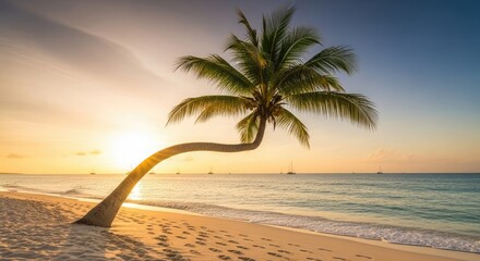 A tropical beach scene with a leaning palm tree at sunset, casting shadows.
