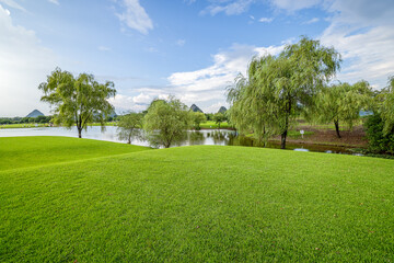 Green grass field with willow trees and lake water landscape in the park.