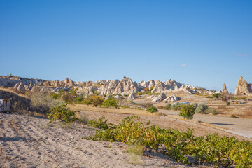 A scenic view of Cappadocia&rsquo;s iconic rock formations rising from a dry valley dotted with small trees and patches of greenery. The warm sunlight highlights the textured shapes of the eroded hills