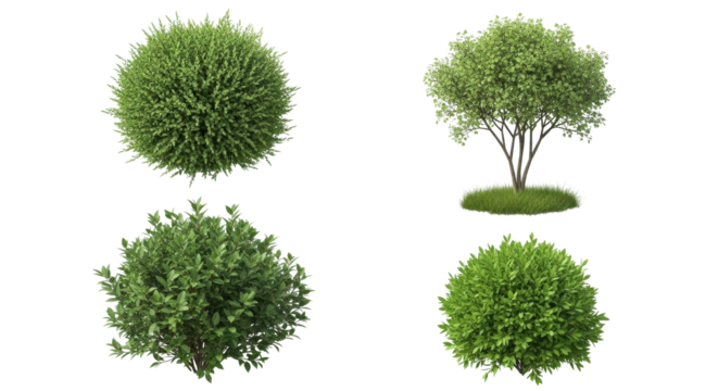 Landscaping elements showcase offers different styled shrubs and a tree providing design flexibility for gardens
