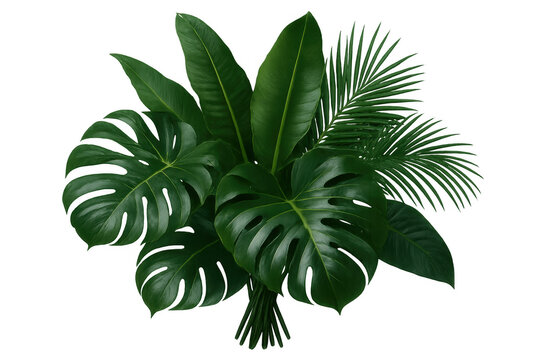 Tropical green leaf bouquet featuring monstera, palm, and banana leaves on transparent background for nature designs - Powered by Adobe