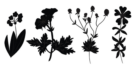 Hand Drawn Wildflowers