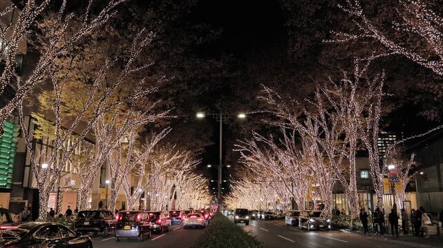 Winter in Tokyo : Golden Lights and Illuminated Trees on a Vibrant Tokyo Avenue |  Omotesando, Tokyo, Japan