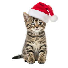 Cat with christmas hat isolated on white