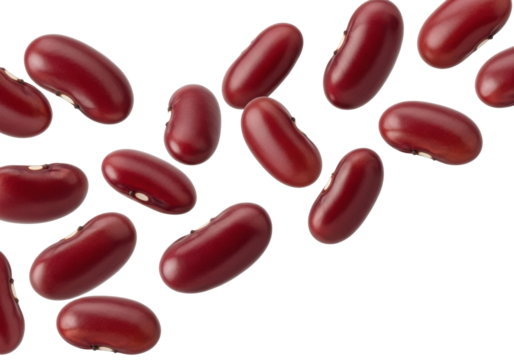 Multiple vibrant red kidney beans, deep reddish-brown with white hilum, dynamically falling on a transparent background with copy space, no shadows, concept of healthy food and cooking ingredients