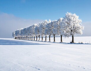Snow Covered Trees Line Winter Landscape