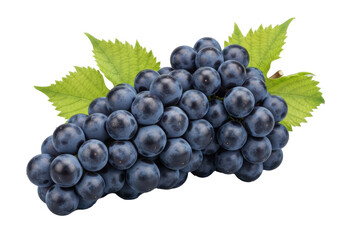Fototapeta premium A vibrant, fresh, dark blue-purple table grape cluster, plump, uniformly round with green leaves, glistening against a clean transparent background, appetizing fruit concept