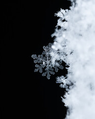 Macro snowflakes showing intricate winter details on dark background
