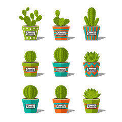 Collection of potted cacti and succulents in decorative planters, isolated on a white background, perfect for indoor decor and botanical illustrations