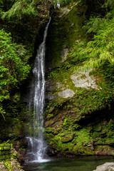 Obraz premium 徳島県祖谷渓の風景