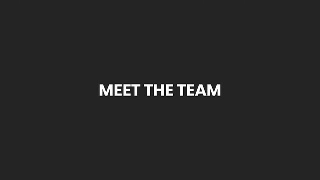 Meet The Team Minimal Text Animation 4K &ndash; Team Introduction Graphic for Company Profiles and Business Reels
