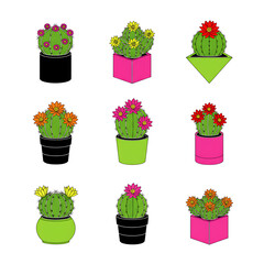 Colorful Cactus Collection Cheerful and Vibrant Desert Plants in Diverse Pots