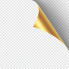A golden page curl with a shadow on a blank sheet of paper. Realistic page curl mockup. Design element for advertising and promotion. Vector illustration.