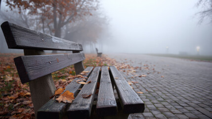Serene autumn park bench surrounded by fog, with fallen leaves scattered on ground, evokes sense of tranquility and solitude