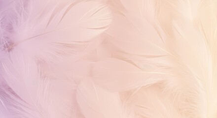 Obraz premium A soft, delicate background texture composed entirely of intricately arranged white and pale pastel feathers, creating a dreamy surface ,pastel ,white ,composition