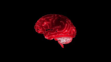 Red 3D human brain model on a black background anatomy - Powered by Adobe