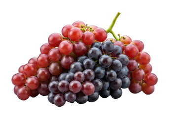 Fototapeta premium A lavish, plump bunch of fresh, glistening ruby red and dark purple grapes with white bloom and green stems, against a seamless transparent studio background. Concept for food advertising