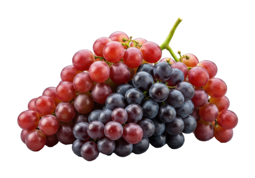 A lavish, plump bunch of fresh, glistening ruby red and dark purple grapes with white bloom and green stems, against a seamless transparent studio background. Concept for food advertising