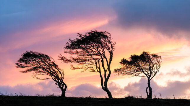 Silhouetted trees bending against strong wind on a hill at colorful vibrant sunset with pastel sky and dramatic clouds in scenic natural landscape setting