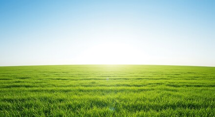 Obraz premium Expansive, perfectly level green meadow stretching toward a bright, open horizon under a clear sky, symbolizing equality and opportunity for all ,flat ,unbiased ,expanse