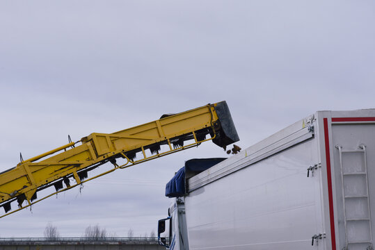 Agricultural transfer machine loading harvested sugar beets into a trailer for transport to factory.