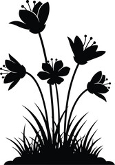 Silhouette of wildflowers and grass against a clean white background