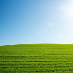 Naklejka premium A peaceful, lush green grassy hill slopes gently upwards toward a bright, clear blue sky during a warm, sunny afternoon in the countryside ,light ,ecology ,high