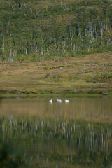 Lake and mountains in Northern Norway