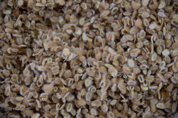 dried hairy seeds in a basket