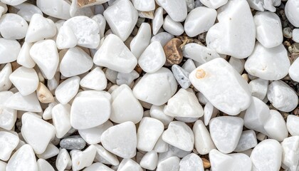 smooth white pebbles close-packed minimalist texture clean aesthetic natural stone arrangement --v 5 --ar 16:9
