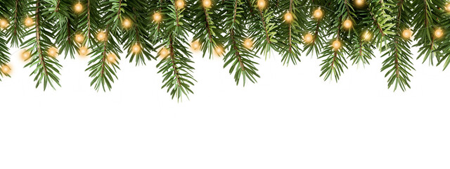 Obraz premium christmas tree branch with light isolated on white