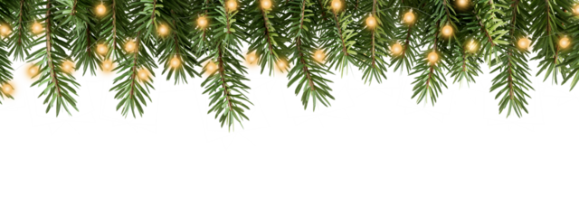 christmas tree branch with light isolated on white