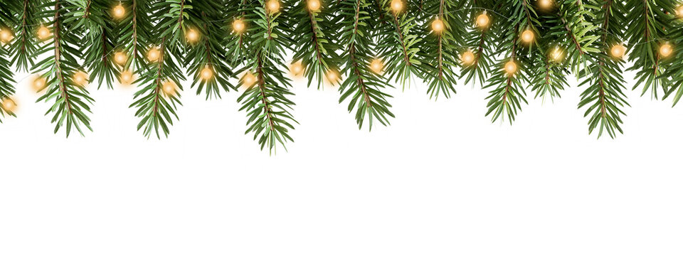christmas tree branch with light isolated on white