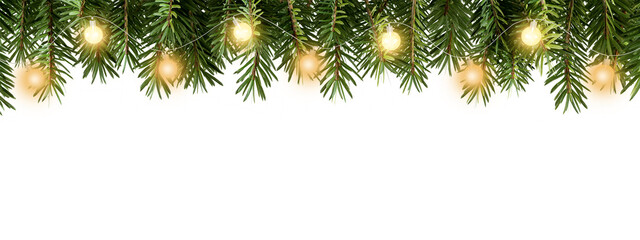 Fototapeta premium christmas background with fir branches isolated on white