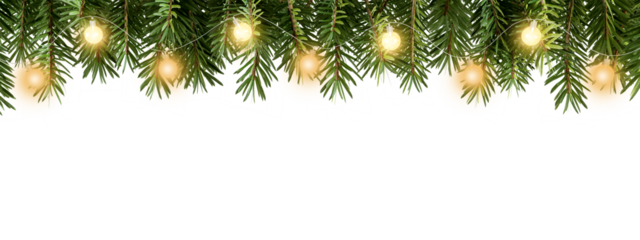 christmas background with fir branches isolated on white