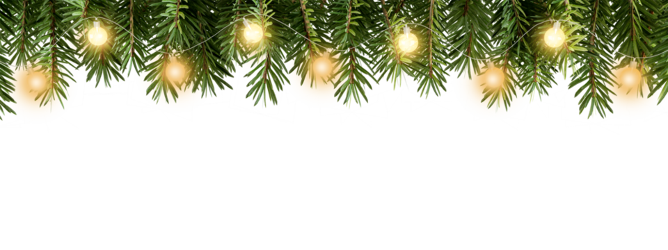 christmas background with fir branches isolated on white