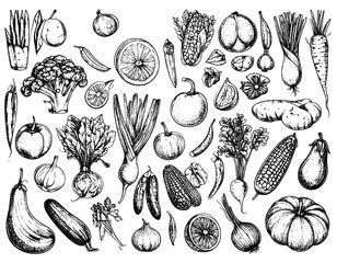 Fototapeta premium illustration vector hand drawn sets vegetables black and white