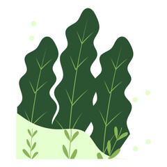 Aesthetic Plant Corner