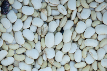 a lot of white beans on the table. bean seeds close-up. the concept of growing legumes.	